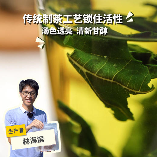 生态桑叶茶  | 绿家自产 *Ecological mulberry leaf tea| Self-production 商品图0