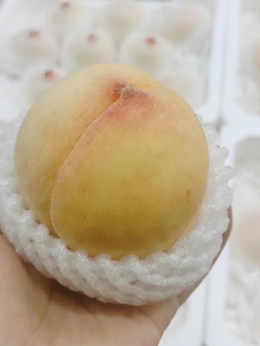 无锡水蜜桃一箱 商品图2
