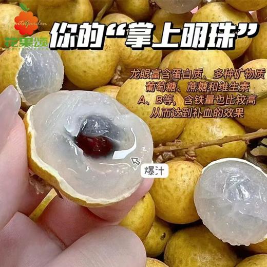 龙眼 商品图0