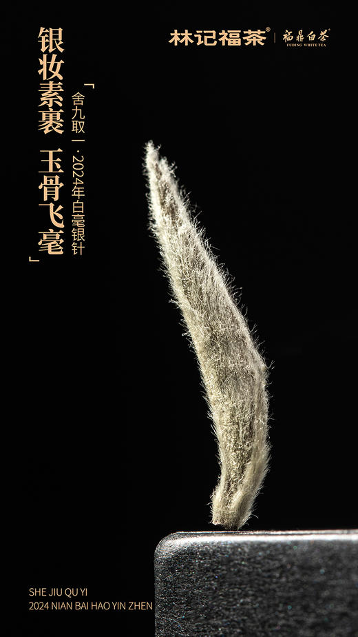 舍九取一·白毫银针2024·品鉴装10g(5g*2) 商品图3