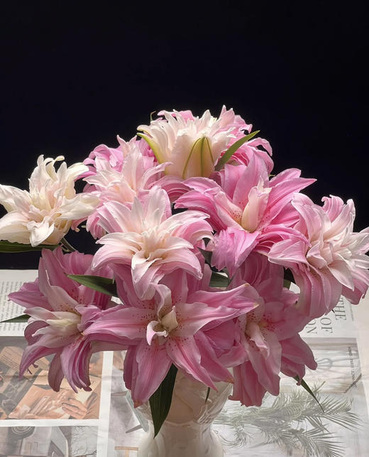 【精品重瓣百合】戴安娜 3头 5枝/扎 商品图1