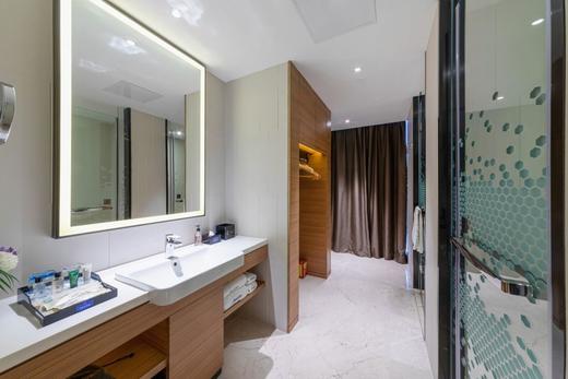 灵智大酒店（豪华大床/标间） 商品图7