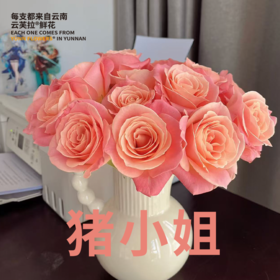 【直发】云南玫瑰鲜切花A级70-75分