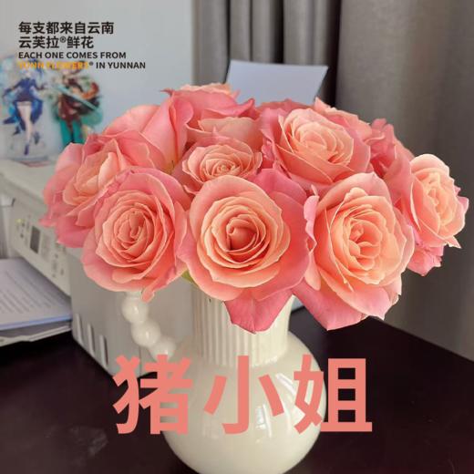 【直发】云南玫瑰鲜切花A级70-75分 商品图0