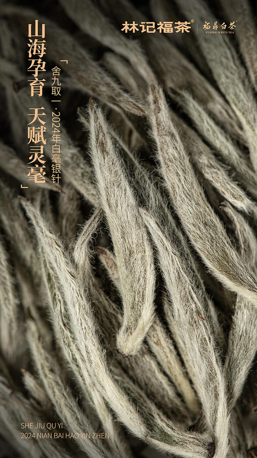 舍九取一·白毫银针2024·品鉴装10g(5g*2) 商品图5