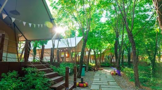 星云帐篷麻将房【杉木湖星空露营地】 商品图1