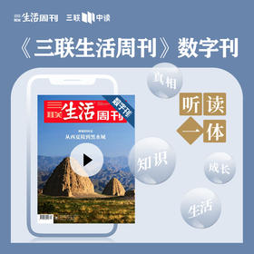 【三联数字刊会员】月卡 | 新刊《神秘的西夏：从西夏陵到黑水城》