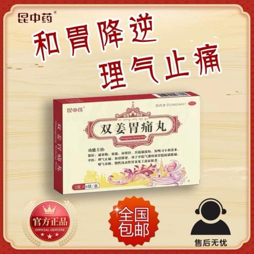 昆中药 双姜胃痛丸 6袋 商品图1