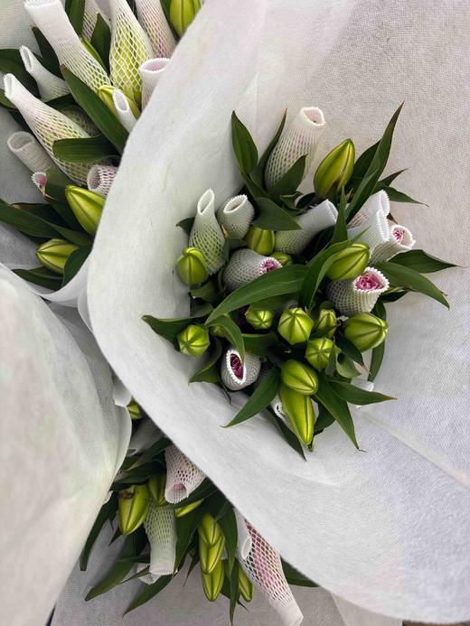 【精品重瓣百合】戴安娜 3头 5枝/扎 商品图5