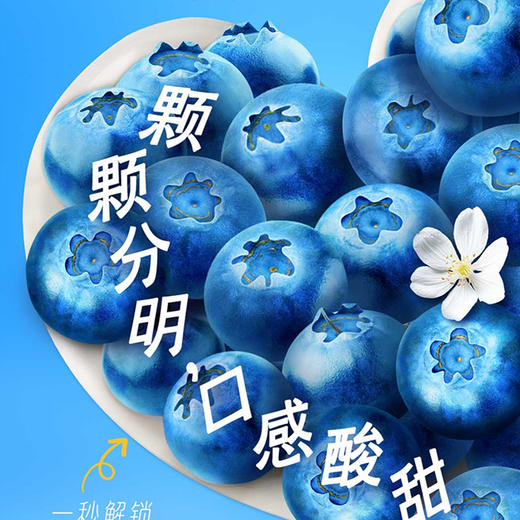 真果粒花果奶昔接骨木花蓝莓风味酸奶饮品PET瓶230g×10瓶 商品图1