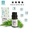 摩洛哥 【丝柏】精油 单方纯精油 清爽 扩香/熏香/调油 商品缩略图1