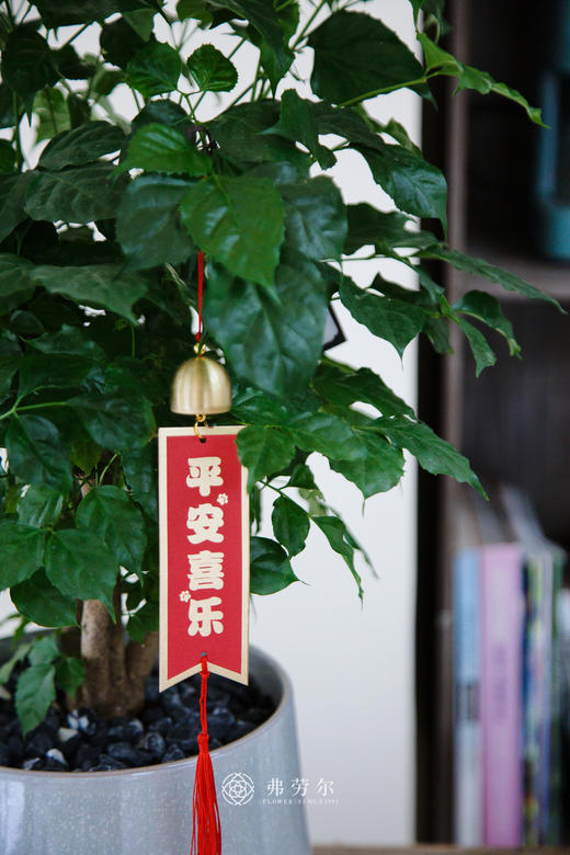 台面绿宝 商品图1