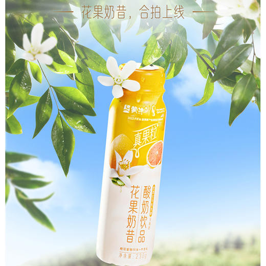 真果粒花果奶昔橙花蜜柚风味+芦荟粒酸奶饮品PET瓶230g×10瓶 商品图2