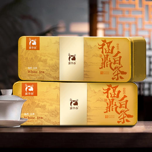 雀牌·露华春福鼎白茶.白牡丹 商品图4