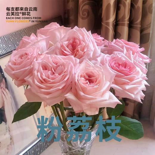 【直发】云南玫瑰鲜切花A级70-75分 商品图2