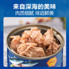珗唛牌水浸金枪鱼罐头185g/031552 肉质细腻味道鲜美 商品缩略图1