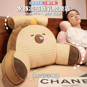 【下架】自然醒卡皮巴拉乳胶拥抱式腰靠护颈护腰靠枕靠背沙发抱枕床上看书孕妇枕头QYL