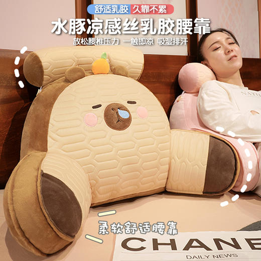 【下架】自然醒卡皮巴拉乳胶拥抱式腰靠护颈护腰靠枕靠背沙发抱枕床上看书孕妇枕头QYL 商品图0