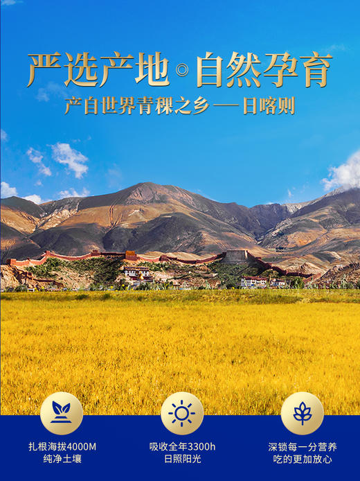 藏地金稞青稞米500g*2袋+7成青稞面400g*2袋+青稞醪糟560g*1瓶+青稞米酒620g*1瓶 商品图3