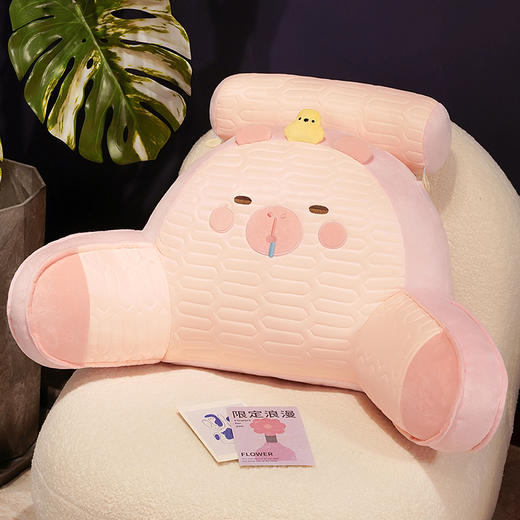 【下架】自然醒卡皮巴拉乳胶拥抱式腰靠护颈护腰靠枕靠背沙发抱枕床上看书孕妇枕头QYL 商品图12