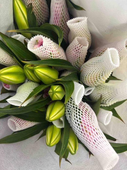 【精品重瓣百合】戴安娜 3头 5枝/扎 商品图4