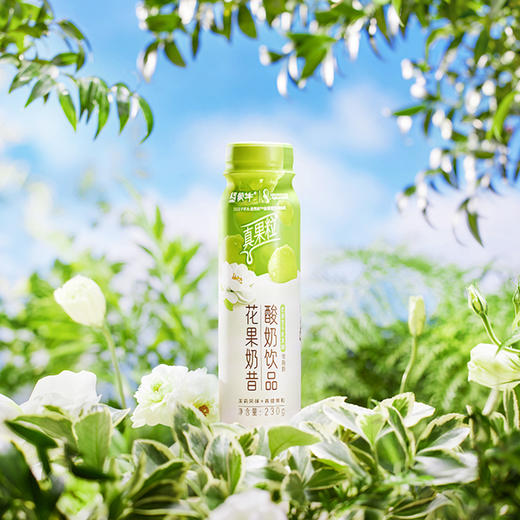 真果粒花果奶昔茉莉风味+青提果粒酸奶饮品PET瓶230g×10瓶 商品图3
