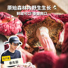 野生红菇 | 合作生产 * Wild-Red mushroom | Coproduction 商品缩略图0
