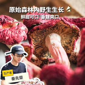 野生红菇 | 合作生产 * Wild-Red mushroom | Coproduction