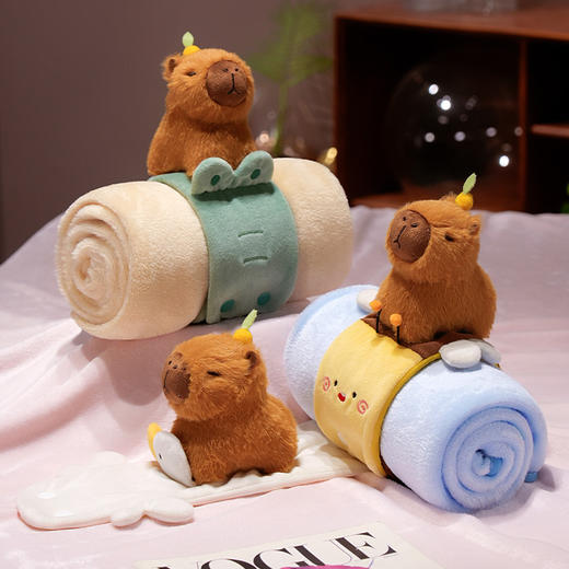 自然醒趣味水豚立体卷毯午休办公室午睡空调毯子儿童珊瑚绒毛毯汽车载QYL 商品图12