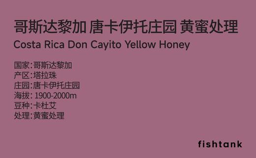 哥斯达黎加 唐卡伊托庄园 黄蜜处理 手冲咖啡 商品图1