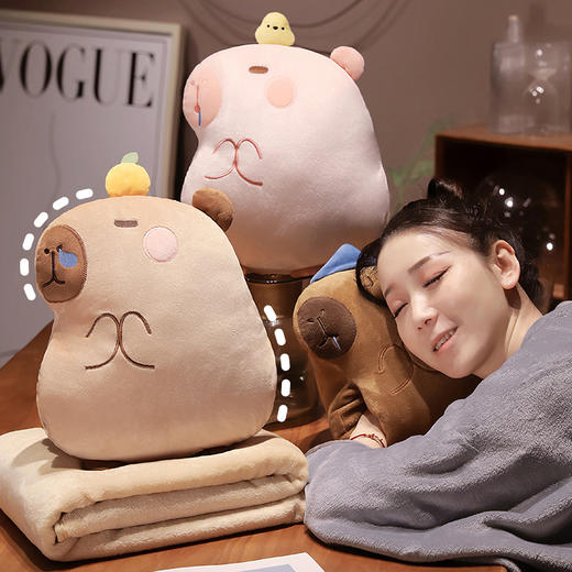 自然醒水晶绒佛系水豚三合一抱枕毯两用可插手午睡枕办公室午休趴枕QYL 商品图14