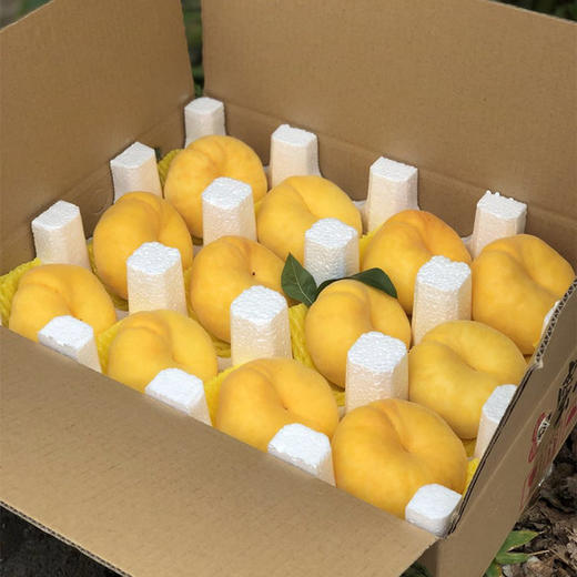 山东蒙阴黄金毛蟠桃4.5斤装（9-15个） 商品图4