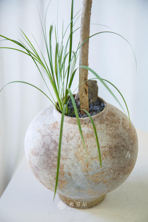 造型百合竹 商品图1