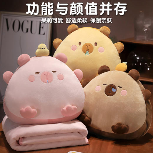 自然醒饭团水豚三合一抱枕毯办公室暖手抱枕午睡神器枕头车用睡觉女生珊瑚绒毯子QYL 商品图1