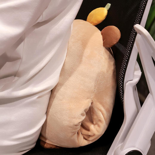 自然醒水晶绒佛系水豚三合一抱枕毯两用可插手午睡枕办公室午休趴枕QYL 商品图12