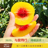2025年‘桃梨节’第七季正宗湖南株洲炎陵高山黄桃手工现摘现发10斤新鲜高山红心桃高档水果（生鲜水果东北三省，新疆，西藏，内蒙古不能发货） 商品缩略图2