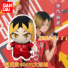 万代Bandai 排球少年!!大毛绒系列 商品缩略图1