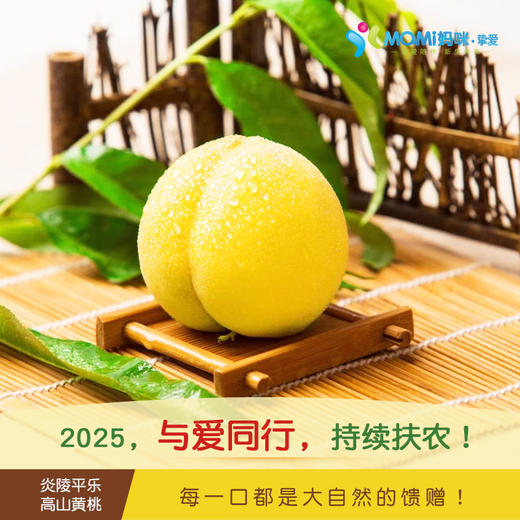 2025年‘桃梨节’第七季正宗湖南株洲炎陵高山黄桃手工现摘现发10斤新鲜高山红心桃高档水果（生鲜水果东北三省，新疆，西藏，内蒙古不能发货） 商品图4