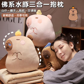 自然醒水晶绒佛系水豚三合一抱枕毯两用可插手午睡枕办公室午休趴枕QYL