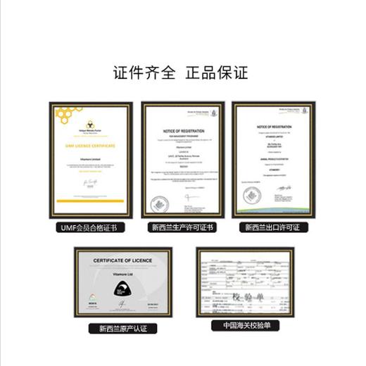 维必滋 新西兰 麦卢卡蜂蜜(UMF10+)5g*24 商品图3