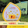 2025年‘桃梨节’第七季正宗湖南株洲炎陵高山黄桃手工现摘现发10斤新鲜高山红心桃高档水果（生鲜水果东北三省，新疆，西藏，内蒙古不能发货） 商品缩略图7