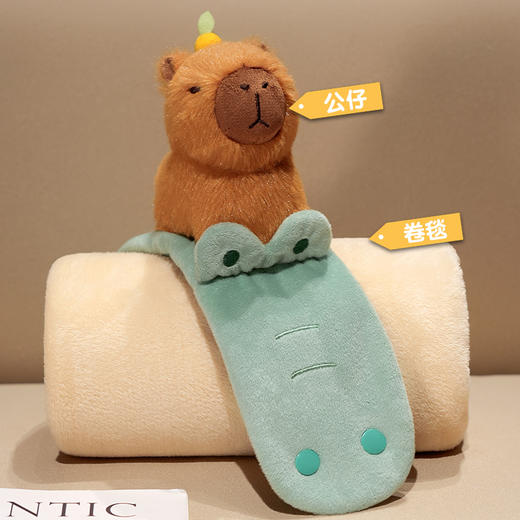 自然醒趣味水豚立体卷毯午休办公室午睡空调毯子儿童珊瑚绒毛毯汽车载QYL 商品图2