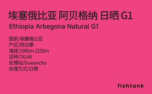 埃塞西达摩 阿贝格纳日晒G1 手冲咖啡 商品图1