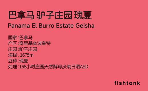 巴拿马 驴子庄园 瑰夏 手冲咖啡 商品图1