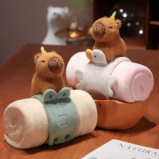 自然醒趣味水豚立体卷毯午休办公室午睡空调毯子儿童珊瑚绒毛毯汽车载QYL 商品图7