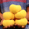 山东蒙阴黄金毛蟠桃4.5斤装（9-15个） 商品缩略图1