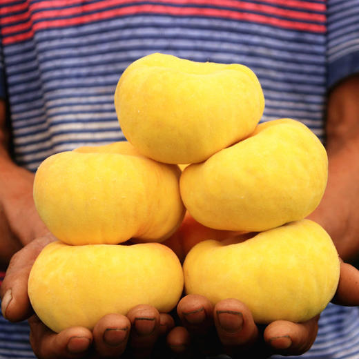 山东蒙阴黄金毛蟠桃4.5斤装（9-15个） 商品图1