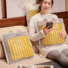 自然醒竹席款抱抱猫抱枕沙发靠枕床头汽车靠背垫女生睡觉抱枕车用夏QYL 商品缩略图14