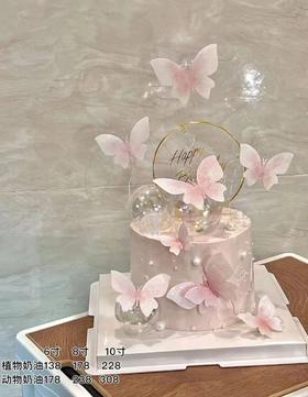 粉蝴蝶97