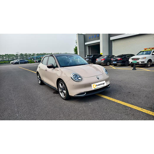 欧拉 好猫 400km标准续航 雅典娜版 磷酸铁锂【长租-北京】 商品图2